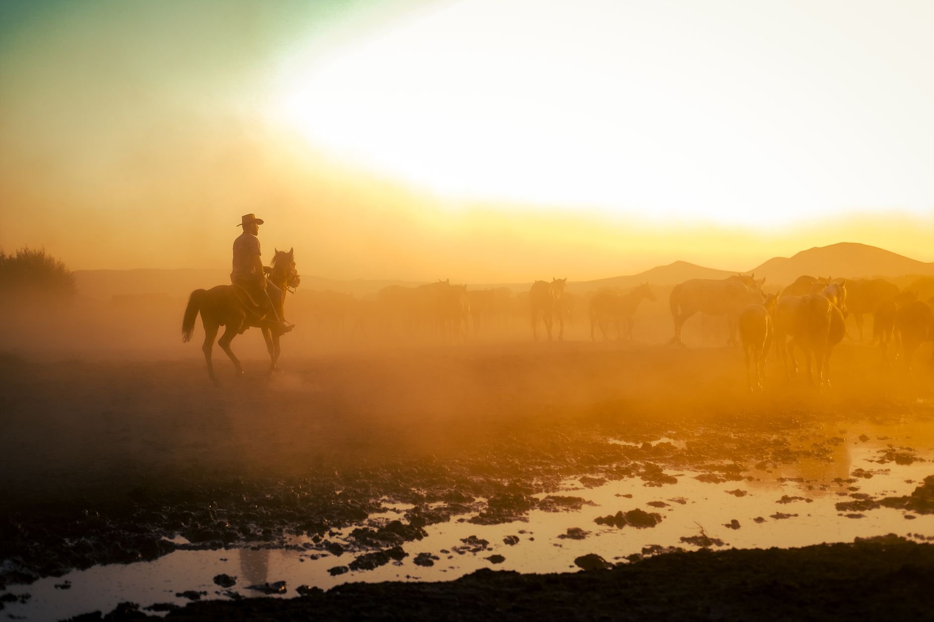 Silhouette of a cowboy riding a horse in a misty, golden sunset over a rural landscape.